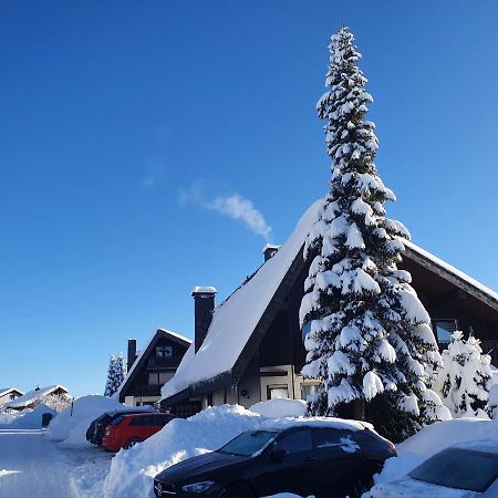 Ferienhaus-Schoenwald Im Herzen Des Schwarzwaldes 1Zimmer Wohnung Mit Terrasse App17 Zewnętrze zdjęcie